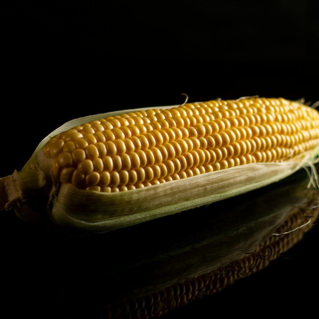 Vibrant fresh yellow corn, perfect for culinary and agricultural themes.